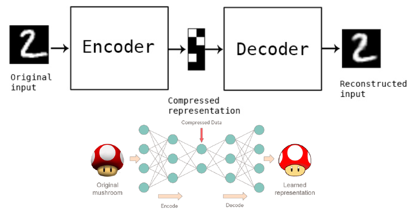 AutoEncoder