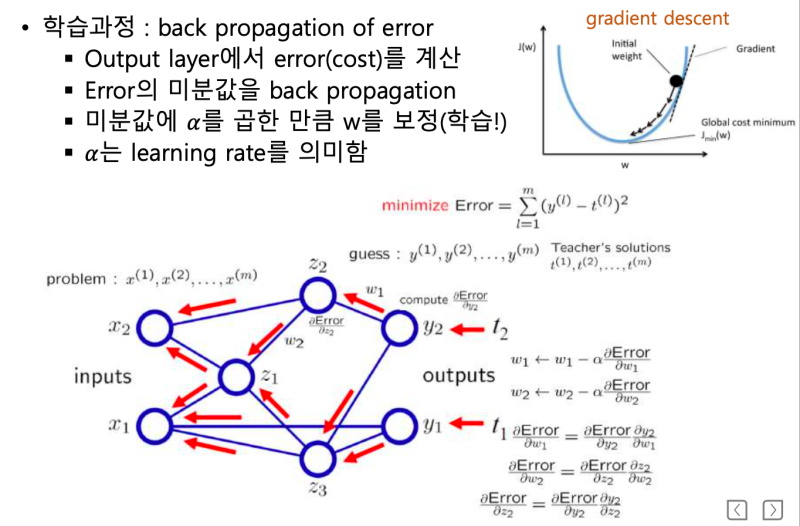 Back Propagation