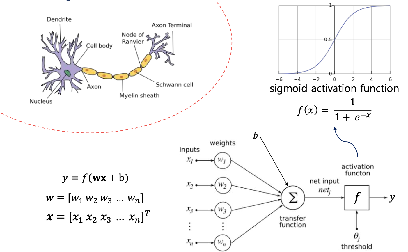 Perceptron